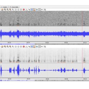 Audio Inspection System